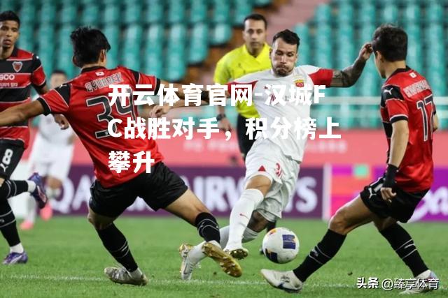 汉城FC战胜对手，积分榜上攀升